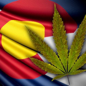 Cannabis And Colorado