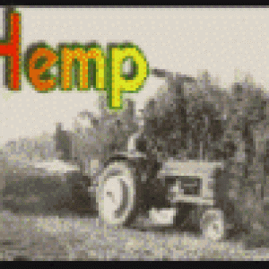 hemp