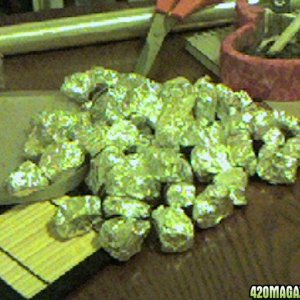 gold_rush_quarters_of_rocky