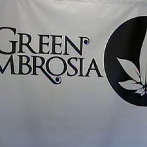 Green Ambrosia