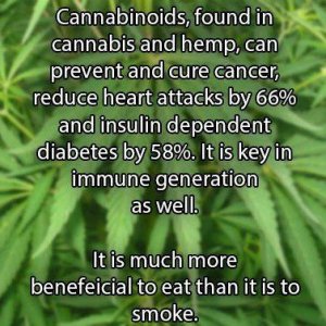 Cannabis Facts