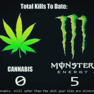 Cannabis Facts