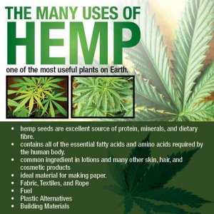 Cannabis Facts