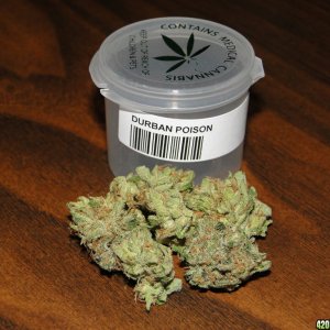 Durban_Poison2