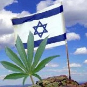 Israelian Flag Cannabis Leaf