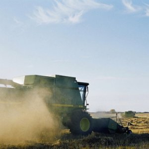 Harvesting Hemp