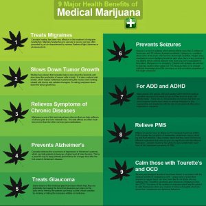 Cannabis Facts