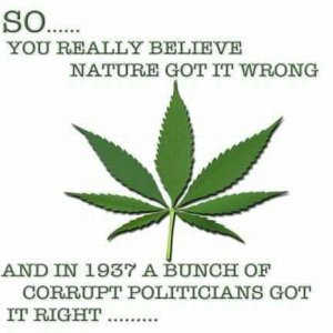 Cannabis Facts