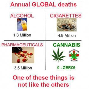 Cannabis Facts