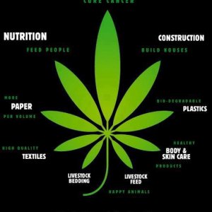 Cannabis Facts