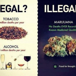 Cannabis Facts