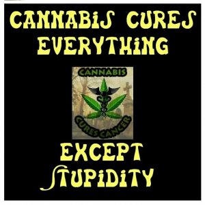 Cannabis Facts