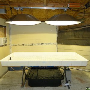 Dual_1000_Watt_MH:HPS_Lights_Installed