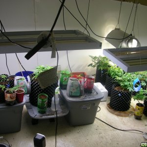 Azmeds veg room BEFORE