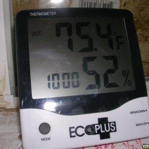 room temps