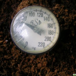 Soil Temps