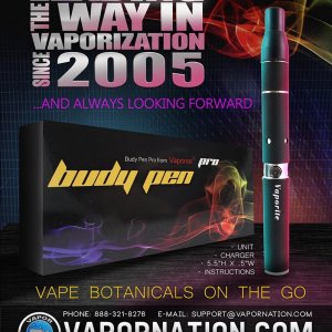 VaporNation Budy Pen