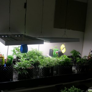 Random veg room shot