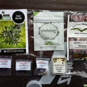 The seed order from Herbie's