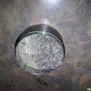 Mmmmmm Purple