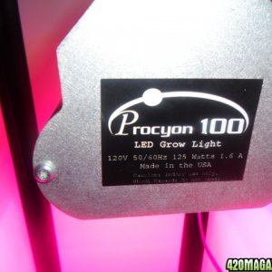 First Superlocker Procyon 100 Grow