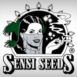 Sensi Seeds