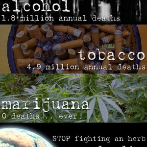 Cannabis Facts