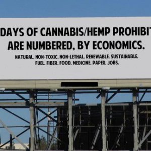 Cannabis Facts