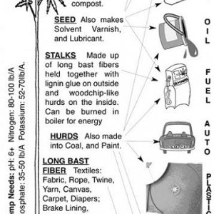 Cannabis Facts