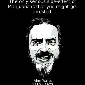 Cannabis Facts