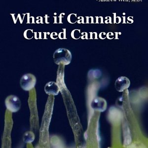 What if Cannabis Cured Cancer?