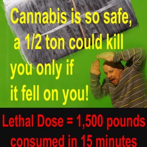 Cannabis Facts