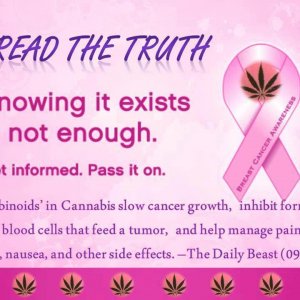 Cannabis Facts