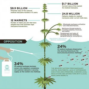 Cannabis Facts