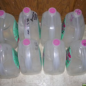 one gallon at a time