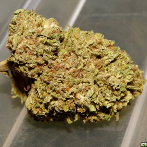 Blackberry_Kush_Nugget