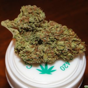 Blueberry_x_Cheese_Bud