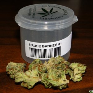 Bruce_Banner_1