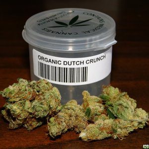 Organic_Dutch_Crunch