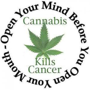 Cannabis Facts