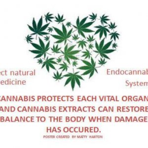 Cannabis Facts