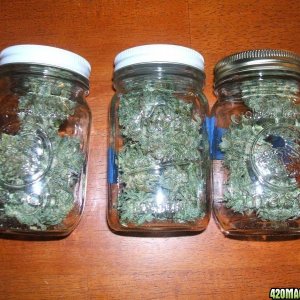 D2_in_jars