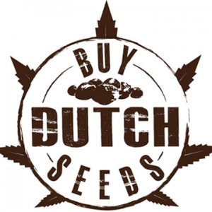 Buy Dutch Seeds