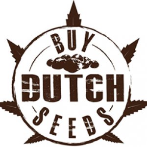 Buy Dutch Seeds