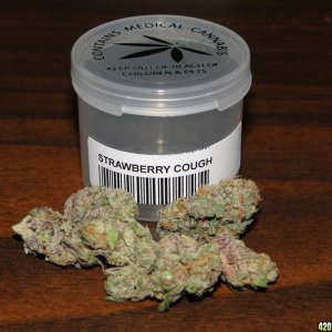 Strawberry_Cough4