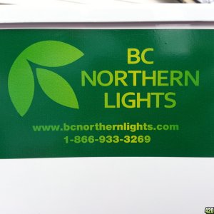 BCNL