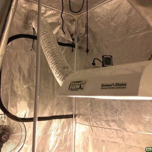 1000 watt mh 4x8x7 tent simple dwc