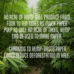 Cannabis Facts