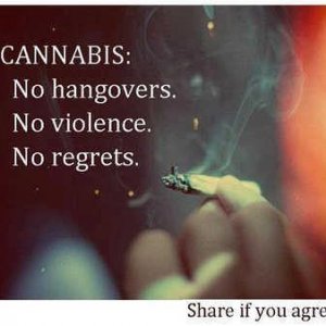 Cannabis Facts