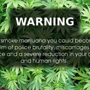 Cannabis Facts